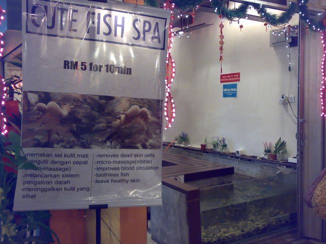 お次は、Dr. Fishに初挑戦。<br /><br />　10分 RM5 (\125)