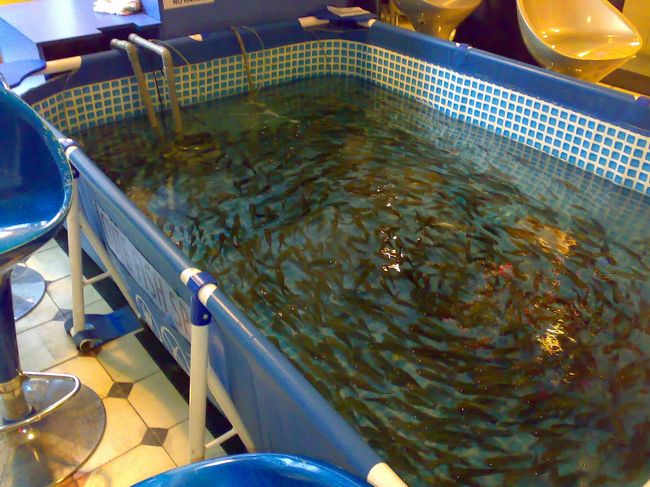 お魚は2種類。<br /><br />迷ったけど、初心者なのでちぃちゃい方のDr.で。