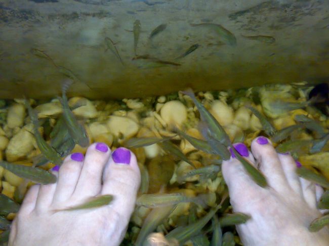 Dr.方てんやわんや。<br /><br />こしょばゆくって、なかなかシャッターが切れるまで我慢できず。<br /><br />最後の方で、やっと観念できた。