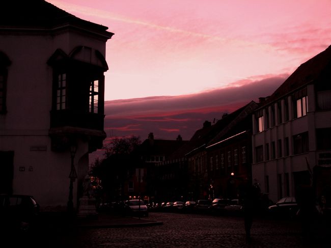 　このあと一旦ホテルに入り、お夕飯はパプリカたっぷりのハンガリー料理でした。
