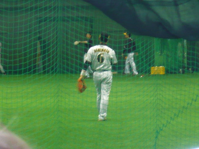 この日のメインは、<br />阪神タイガースの宜野座キャンプ。<br /><br />雨で室内練習だったので、<br />全然見れません。。。<br /><br />前日に会った、金本選手♪