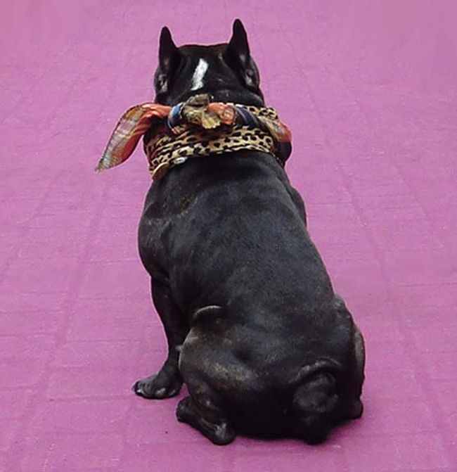 後姿のズーム。<br />