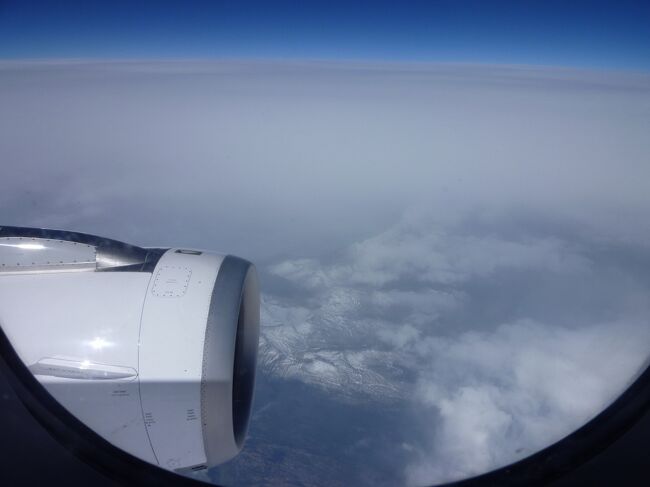 Lan航空で、Punt Arenasに向かいます。