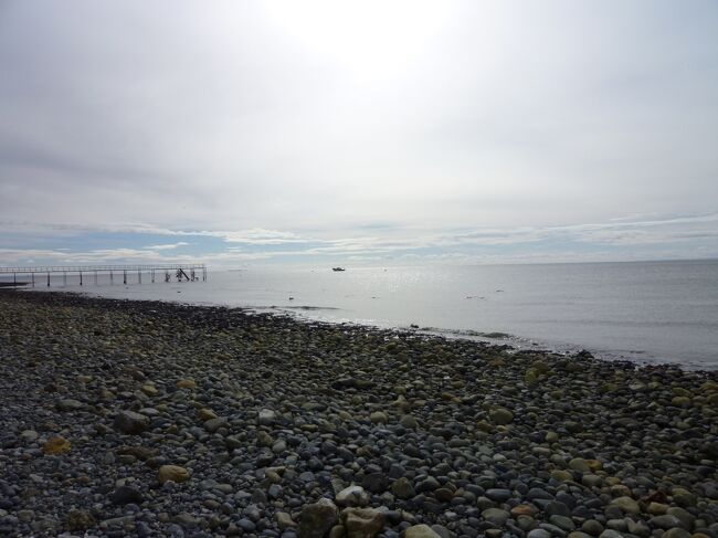 何故か？メカに弱い私は判らないけど、マゼランペンギンを写した画像が5MGを越えるようで掲載出来ない？？