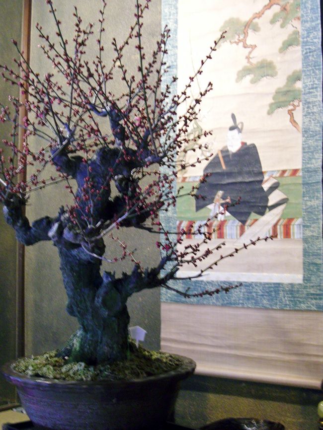 <br />東風吹かば<br /><br />匂ひをこせよ<br /><br />梅の花<br /><br />主なしとて<br /><br />春な忘れそ<br /><br />　掛け軸の中から菅原道真公が<br />　　詠まれているような気がします^^<br /><br />