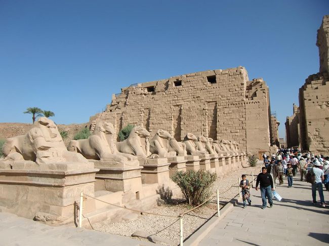 時差ぼけがまだ完全には解消されておらず疲れが出てくる。そこに、午後の太陽が強烈に降り注ぐ。やばい、頭痛になりそう…。写真：カルナック神殿スフィンクス参道