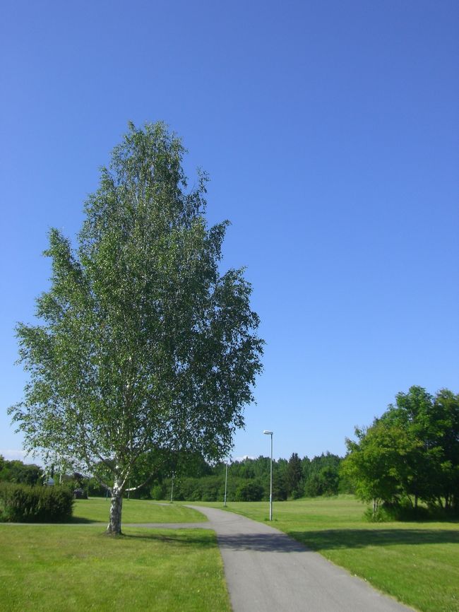 天気が良くて景色がきれい。