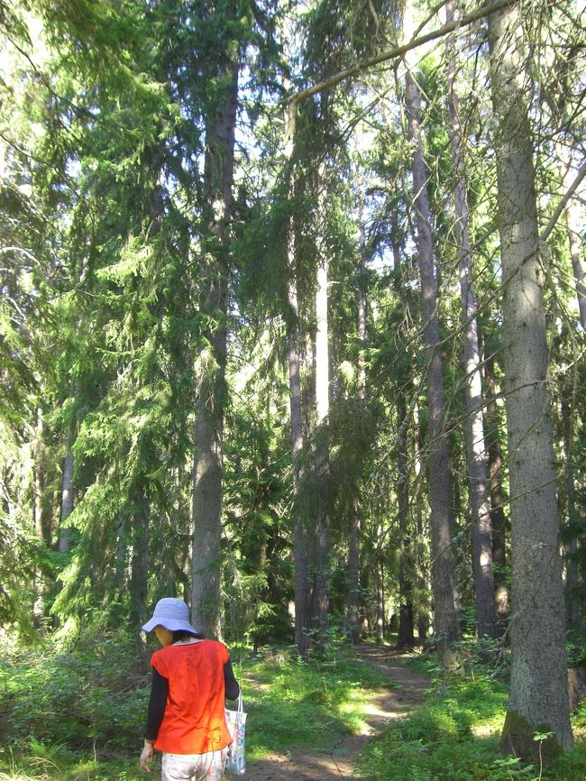 友人と森を散歩。