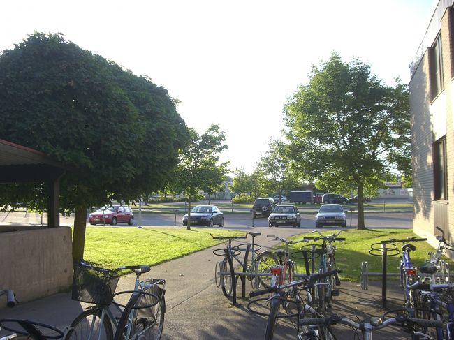 スウェ時間で午後8時くらい。<br />まだまだ明るいです。<br />一日が長くかんじて得した気分。