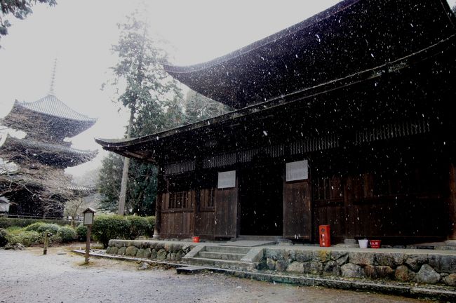 三井寺のお経 / 天台寺門勤行要集 三井寺のお経 / 天台寺門勤行要集 - メルカリ