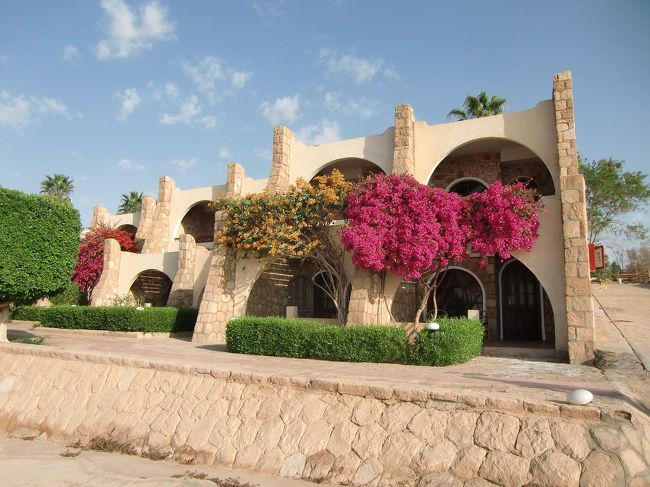 アブシンベル神殿見学まで少し時間があったので、ホテル内を散歩する。ヌビア地方の天然石を積み上げたコテージの外観（写真）に赤いブーゲンビリアが花を添える。Very Good.