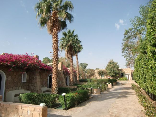 広い敷地に２階建てのコテージ（写真）がたくさん建っている。昼食後、客室に入る。どんな部屋なのか？期待の一瞬…。