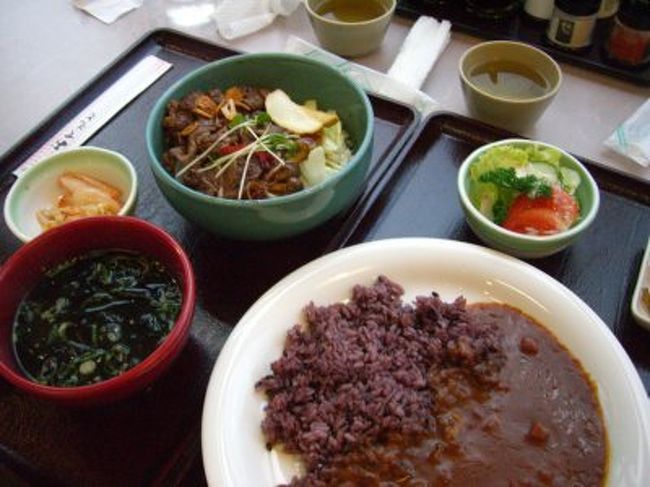 黒米カレー<br />大和牛丼<br />奈良の味覚を楽しみました。<br />法隆寺は眺めただけかな。