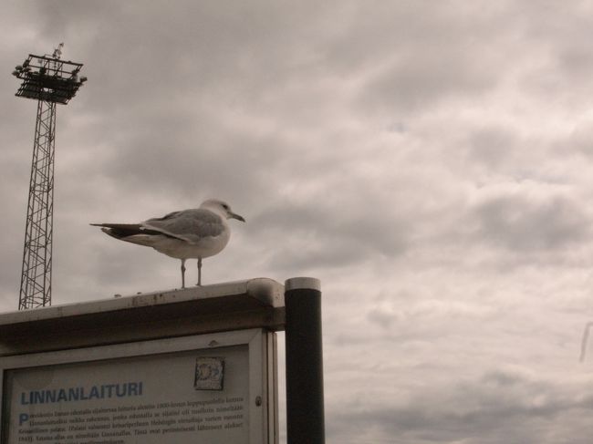 もう１枚寒そうな写真を。この日は実際にはけっこう暖かかったのですが、雲の感じが「夏」の気分を打ち消します。