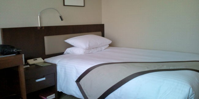 宿泊はホテル日航熊本。<br />シングルルームとしては充分な広さと大きさの部屋とベッド。部屋の向きは熊本城と反対側ですが、割安プランですから贅沢は言えません。<br />従業員の方の対応は非常に良かったですね。