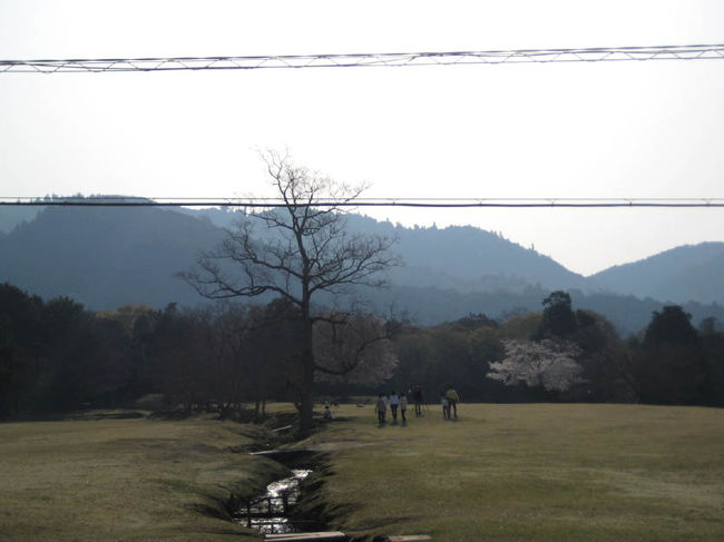 ＜若草山＞<br /><br />奈良公園の東側に、広がるなだらかな山。<br />染井吉野と八重桜が咲く若草山は、芝生に覆われ、春と秋だけは麓から歩いて入山できるそうです。<br /><br />この写真は余計な電線が入っていまいちですが、名前のとおり若草色の優しい印象の良い眺めでした。
