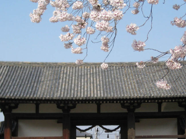 ＜東大寺６＞<br /><br />転害門（てがいもん）。<br />東大寺にある数々の建築物の中で、天平文化の伽藍建築がそのまま残る貴重な国宝。<br />東大寺の西を守護する門で、平城京の時代より都と東大寺を結ぶ重要な佐保路の終点でした。<br /><br />転害門にかかる八重桜も美しいそうです。<br />