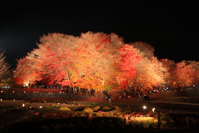 この寒い中、沢山の人が訪れてました。