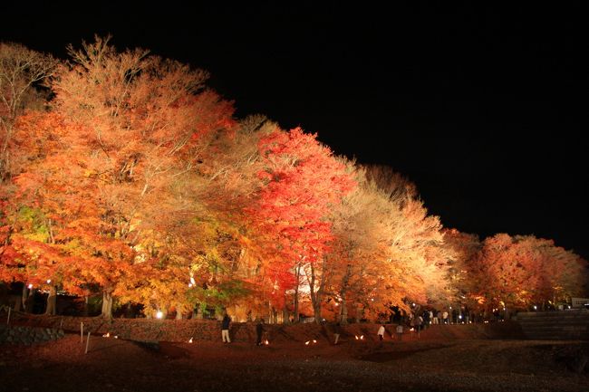 しばらくの間、もみじ回廊を外側から眺めてました。