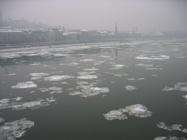ドナウ川凍ってます。寒そう。