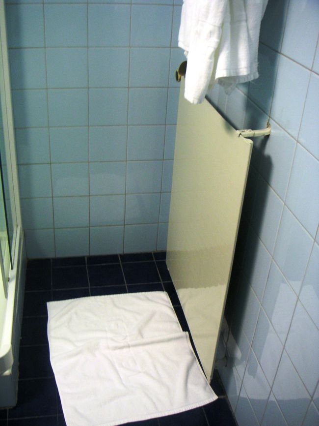 バスルームのパネルヒーター<br /><br />ドイツ等もそうですが<br />こういうのがあるとシャワーでも苦になりません。<br />体拭く時タオルが暖かいのもいいですね。