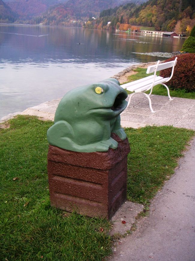 早朝散歩で見かけたかえる。<br />親しみを感じます。