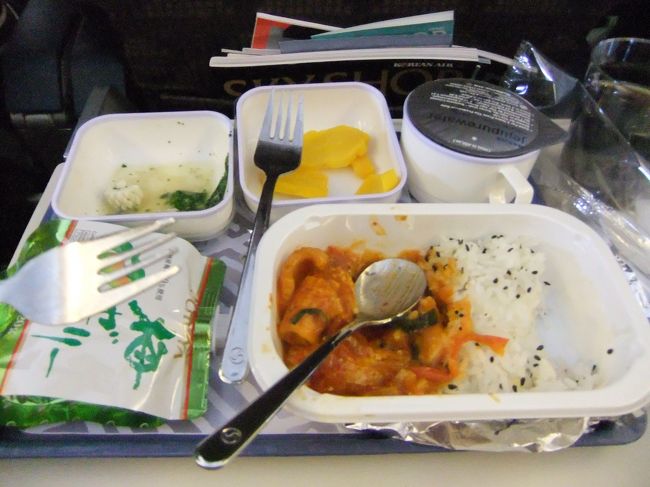 初めての大韓航空。<br /><br />イカの入った辛いやつ(なにそれ)と野菜とたくあんと梅ゼリーとミネラルウォーター！<br />全部おいしいです。