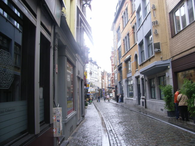 適当に歩けば着くでしょう〜<br /><br />と思いきや。今、どこを歩いているんだろう？？？<br /><br />大抵、自分の思う方向は逆であることが多々ｗ<br />でも、やっぱり思う方向に足は向いてしまうものです。。<br /><br /><br />とにかく歩き続けていたら、突然おじさんから「今、何時？」と。<br /><br />教えた代りに・・・と言っては何ですがｗ<br />「グラン・プラスはどちら？」<br /><br />ラッキー！<br />連れて行ってもらいました☆