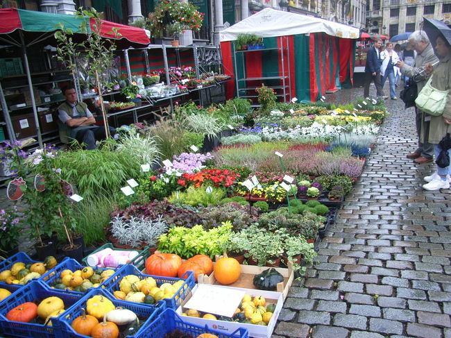 花や果物・野菜まで売ってました。<br /><br />あまりにカラフルで、食べ物が売られているとは最初は気付かなかった（笑）