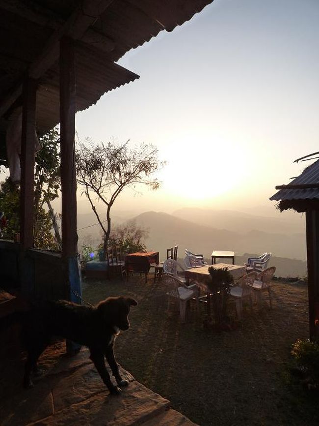 朝焼けの小汚い犬。