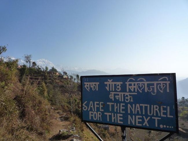 こんな看板が。