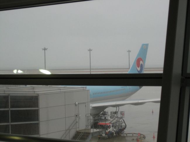 格安という事で大韓航空を利用。<br />名古屋−ソウル−ホノルルてな感じで遠回り経由です。<br />正直しんどかった！