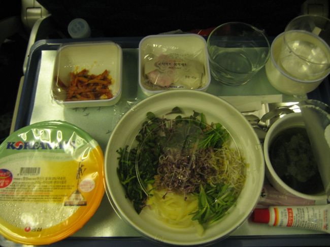 機内食2<br />コリアンビビンバ<br />右下のチューブは絵の具ではなくてコチュジャン(笑)