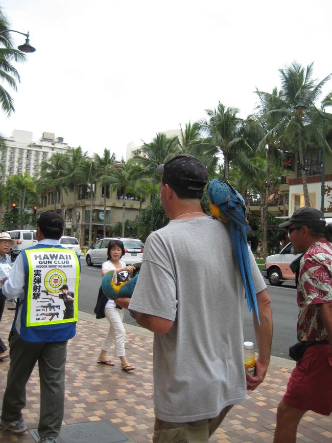 DFSの近くにいたオウムのおじさん。<br />やたら話しかけてきて勝手に頭の上にオウムを置いてくるみたい。<br />実際に卒業旅行できたらしい男の子4人組が被害にあっていたよ。<br />オウムと写真を撮ったらお金請求されるらしい。<br /><br />私は、恐る恐る後ろから写真取りました。<br /><br />あと斜め前にいる銃弾チョッキきたおじさん。<br />実弾で射的ができるお店の勧誘している人なんだけどひつこかった！