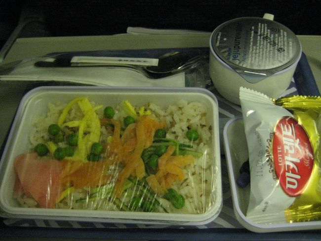 機内食6<br />これは殆ど口つけていません。<br />着陸直後、極度の吐き気でリバースしました。<br />今回の旅を含め飛行機に3度乗っていますが全てリバースしています。<br />旅行は好きだけれどフライトはどうしても好きになれない。