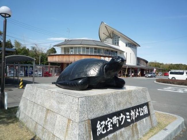 新宮から先は三重県に入って七里御浜沿いの42号線を走ります。<br />今度は海を見ながらのシーサイドドライブです。<br />道の駅紀宝町ウミガメ公園に寄り道しました。<br />ここに来るのは三年ぶり<br /><br />