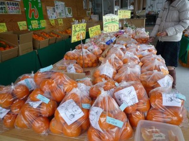 次に車ですぐ近くの道の駅パーク七里御浜で休憩<br />ここはみかんの町<br />一年中みかんが採れるそうです。<br /><br />