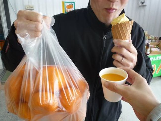 みかん一袋とみかんジュースとみかんソフトクリーム<br />やはり三年ぶりにここのジュースを飲みました<br />甘いです。<br />でも、三年前の感動まではちょっと届かないかな。<br /><br />