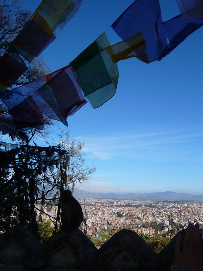 目玉寺から、カトマンズの盆地を眺められます。<br />サルもいます。