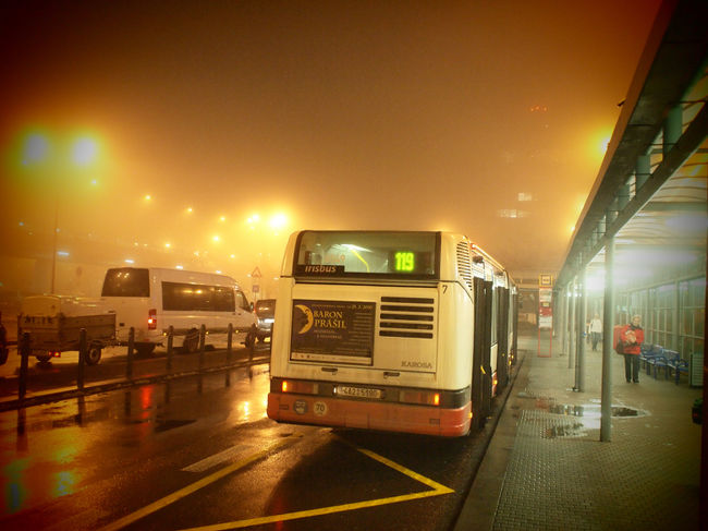 バス着ています。急ぎましょう。ハリーアップ。