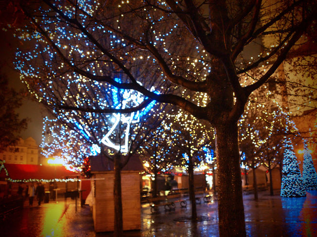 イルミネーションのライトアップ。