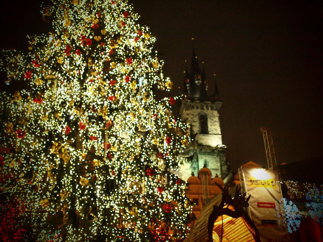 ライトアップのアップ。