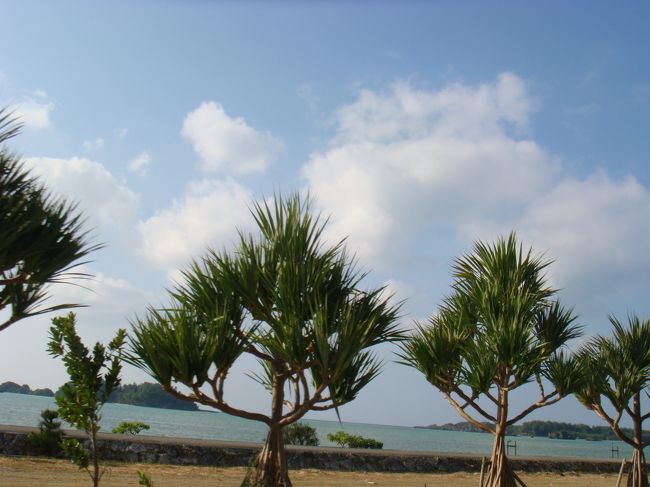 時間もなくなるので、海の駅でUターン。<br /><br />