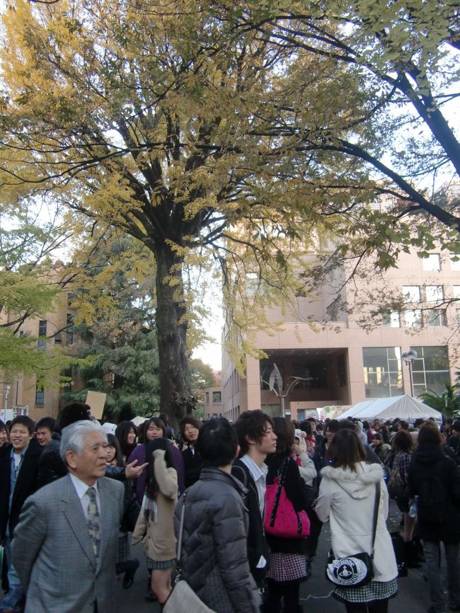 さすがに中は人でいっぱい。意外とこじんまりとしたキャンパスが人であふれかえる。