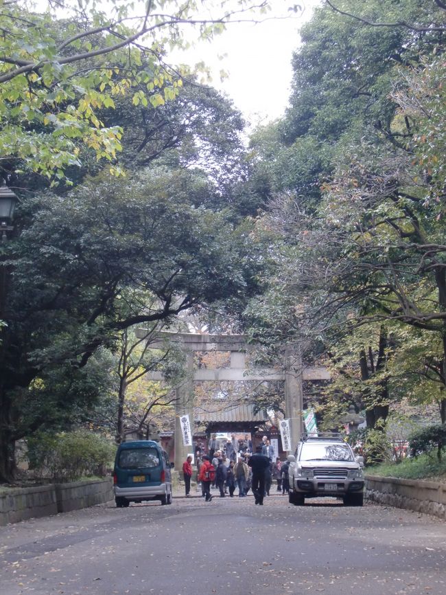 向かいますよー。