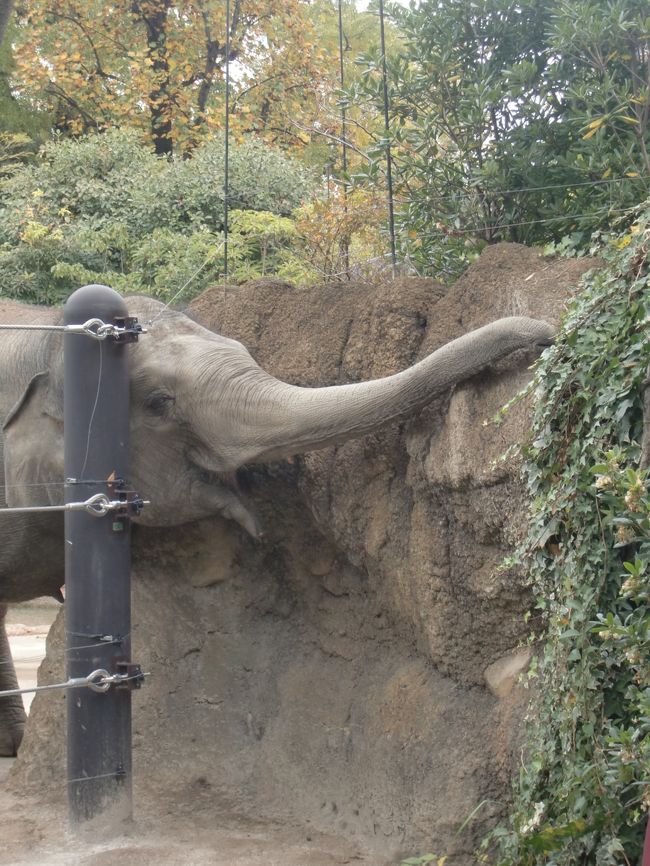 と、届くか…。