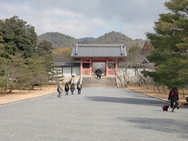 広い境内です。<br />今冬、「京都冬の旅」で仁和寺金堂・霊宝館が公開中。<br />