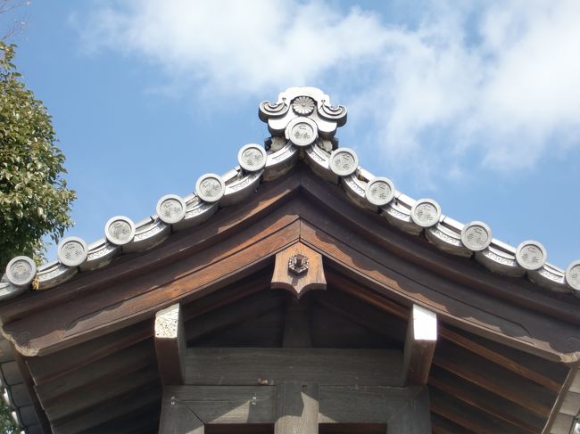 よーく見ましょう、自己主張もしっかりしています。