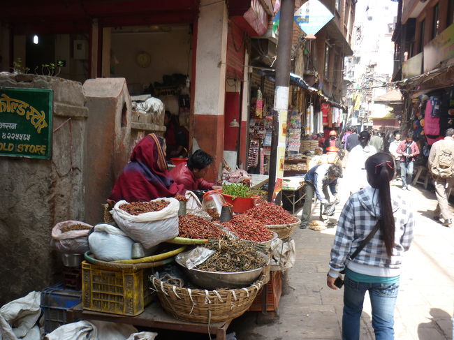 チェンナイからデリー経由でネパールのカトマンドゥにやって来ました。<br /><br />ここは街の中心地、タメル地区です。<br /><br />空港に着くと日本語ベラベラの自称旅行会社社員が、<br /><br />ひたすらつきまとってきます。<br /><br />ちょっとうざかったけど、久々にこんな奴に会ったので「やっぱ　こうじゃなきゃな！」<br /><br />と　また旅を楽しむ気持ちが湧いてきます（笑）