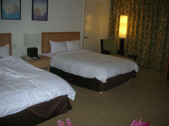 泊まったホテルはハイアットリージェンシー。<br />朝食付きで２００ドル（税別）です。<br />まあまあ、かな。<br />エレベーターから近すぎず、遠すぎないところを<br />リクエストしたら、まさにそういう場所でした。<br /><br />